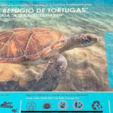 Center A 5 Minutos Del Paseo Y Playas Apartament *