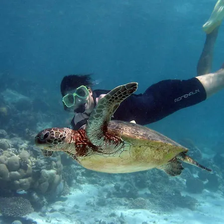 Center A 5 Minutos Del Paseo Y Playas Apartament *